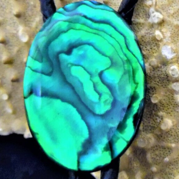 Beautiful Abalone Soft Leather Pendent Necklace d3 - Picture 2 of 5